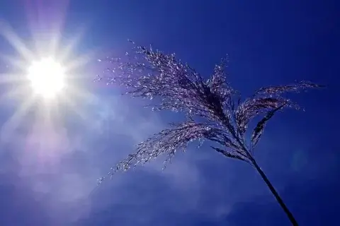 Travailler en cas de canicule sur un chantier : droits, obligations et précautions